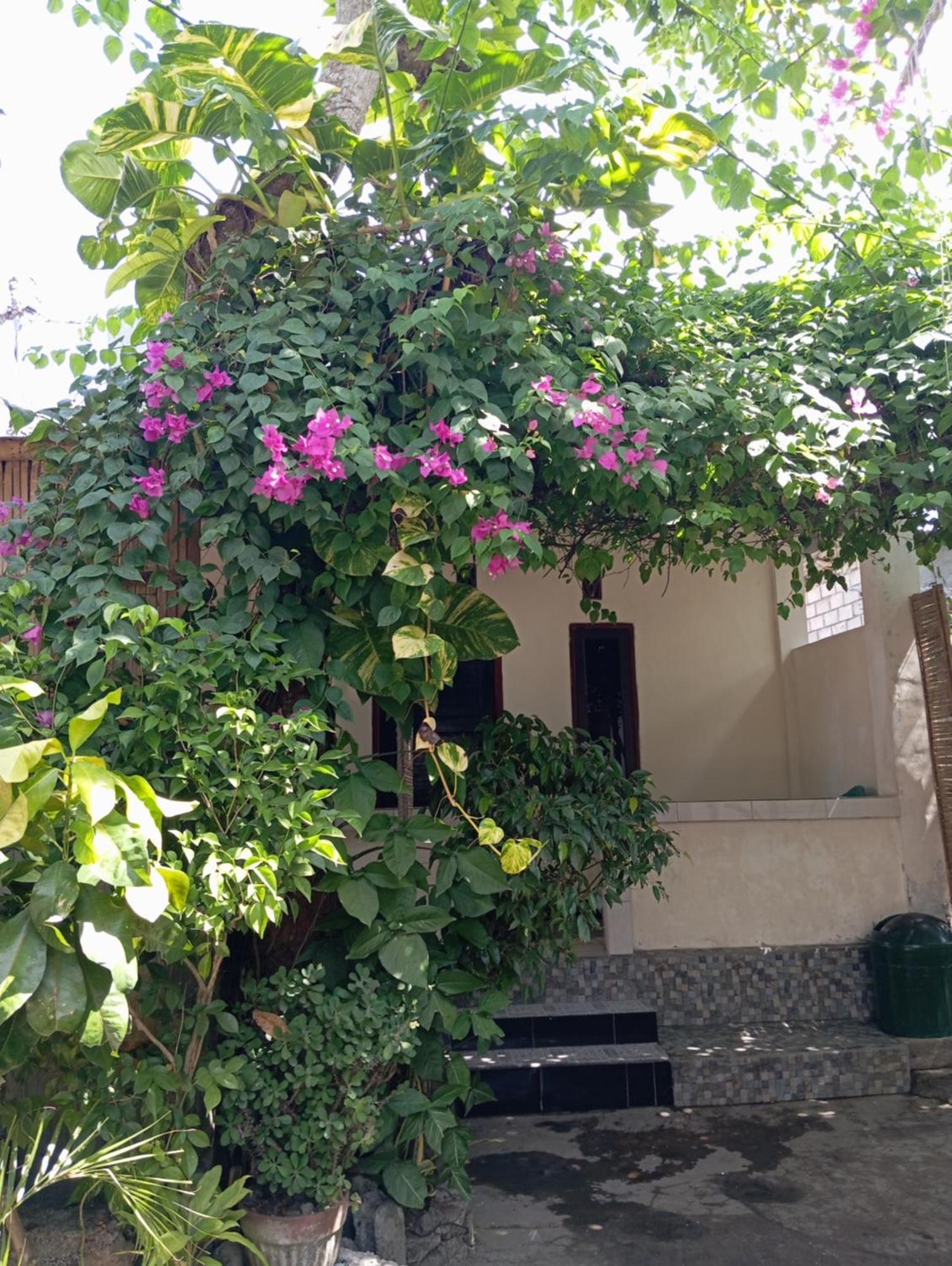 Pedek Homestay Praya Dış mekan fotoğraf