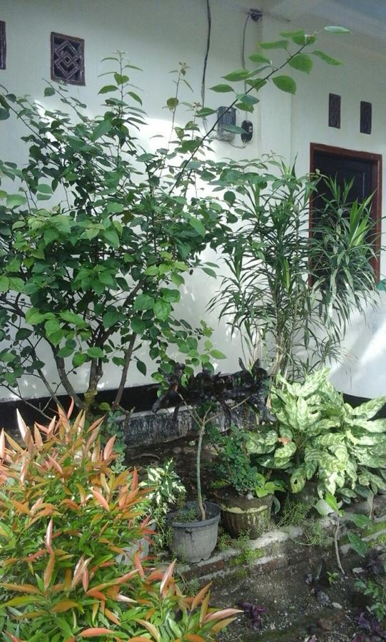 Pedek Homestay Praya Dış mekan fotoğraf