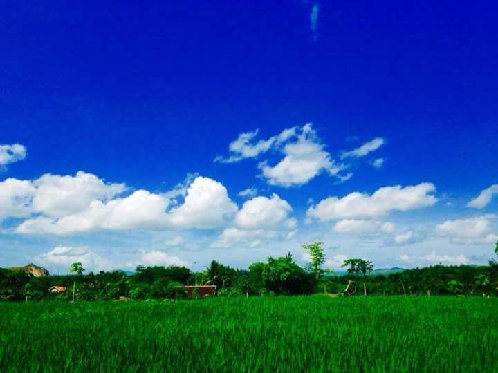 Pedek Homestay Praya Dış mekan fotoğraf